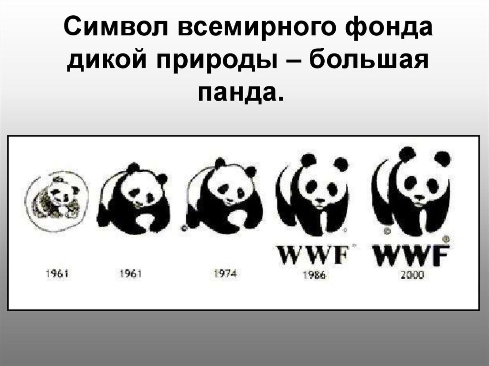 Символ дикой природы. Фонд дикой природы WWF В России. Панда Всемирный фонд дикой природы. Всемирный фонд дикой природы эмблема. Всемирный фонд охраны дикой природы 1961.