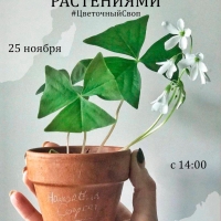 25 ноября во Дворце культуры  Минераловодского округа пройдёт цветочный своп!